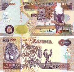 Замбия 5000 квача. 2011 год.
